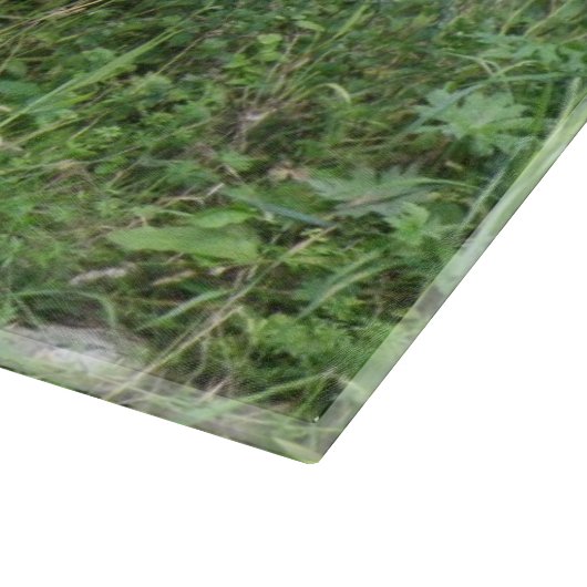 Schattigee witte pluizige schapen eten snijplank (Hoek)