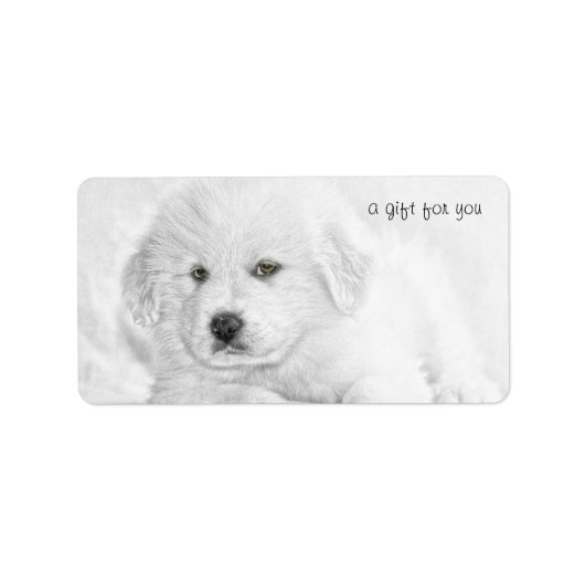 Schattigee Witte Puppy Kussen Gift Labels (Voorkant)