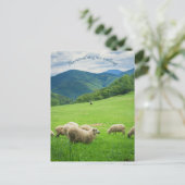 Schattigee witte schapen en pittoreske bergen feestdagenkaart (Staand voorkant)