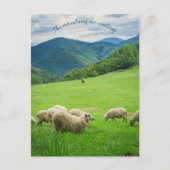Schattigee witte schapen en pittoreske bergen feestdagenkaart (Voorkant)