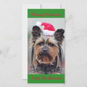 SCHATTIGEE YORKIE IN SANTA HAT FLAT FEESTDAGENKAART