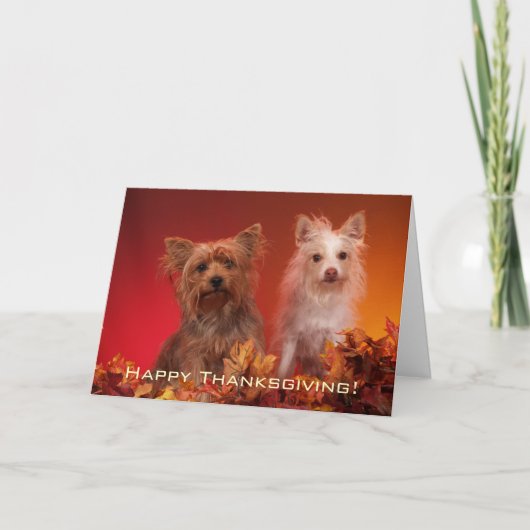 Schattigee Yorkie Thanksgiving Wenskaarten Feestdagen Kaart (Voorkant)