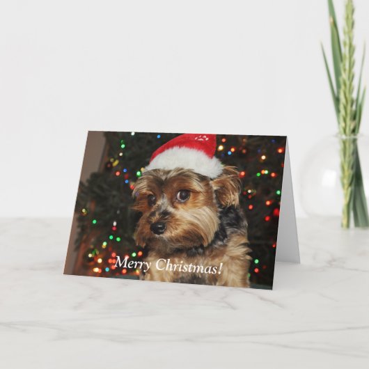 Schattigee Yorkshire Terrier Christmas Kaart (Voorkant)