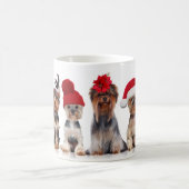 Schattigee Yorkshire Terrier Dogs met Kerst Petten Koffiemok (Center)