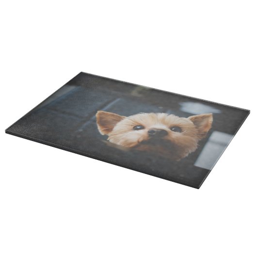 Schattigee Yorkshire Terrier Puppy Dog Snijplank (Hoek)