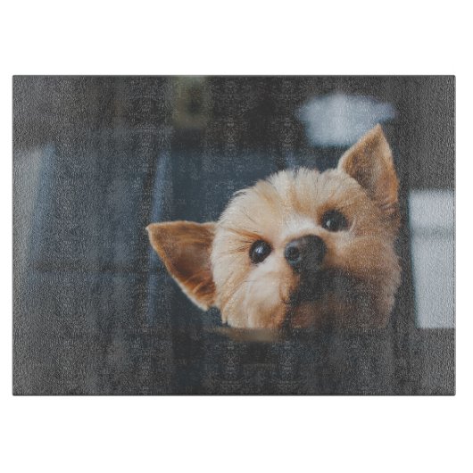 Schattigee Yorkshire Terrier Puppy Dog Snijplank (Voorkant)