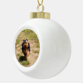Schattigee Yorkshire Terrier Puppy hardlopen Keramische Bal Ornament (Rechts)
