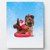 Schattigee Yorkshire Terrier Vrolijk kerstfeest Fotoplaat (Voorkant)