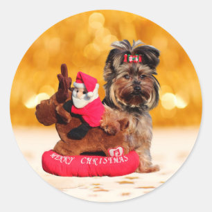 Schattigee Yorkshire Terrier Vrolijk kerstfeest Ronde Sticker
