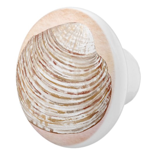 Schattigee zeeschelp leven in de oceaan Waterverf Keramische Knop (Rechts)