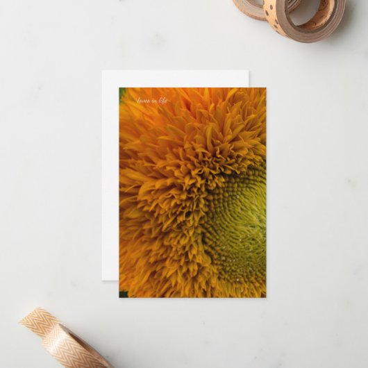 Schattigee zonnebloem met groen centrum notitiekaartje (Voorkant / Achterkant in situ)