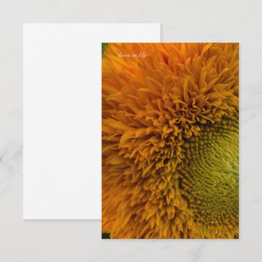 Schattigee zonnebloem met groen centrum notitiekaartje (Voorkant / Achterkant)