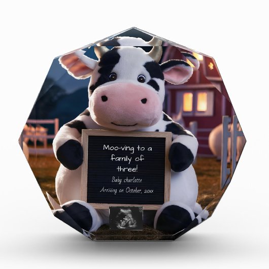 Schattigee zwangerschapsaankondiging met Boerderij Fotoblokken (Voorkant)