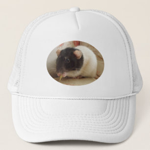 Schattigee zwart-wit geklemde huisdier rat foto trucker pet