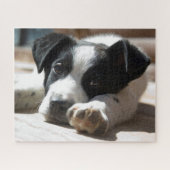 Schattigee zwart-witte puppy close-upfoto legpuzzel (Horizontaal)