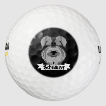 Schattigee zwart-witte Schnauzer