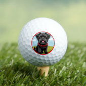 Schattigee zwarte hond met rode halsband in Cartoo Golfballen (Insitu Shirt)