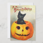 Schattigee zwarte kat Halloween Verjaardag Kaart (Achterkant)