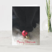 Schattigee Zwarte Kat Meowy Kerst Huisdier Vakanti Feestdagen Kaart (Voorkant)