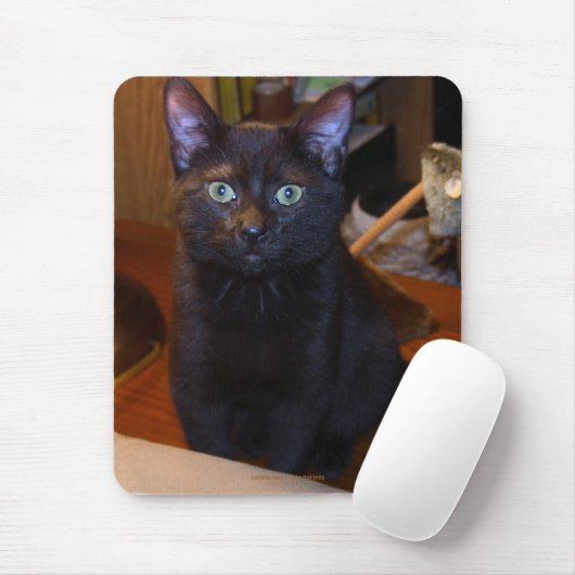 Schattigee zwarte kat mousepad muismat (Met muis)
