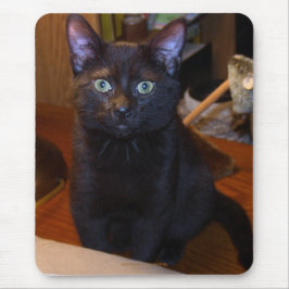 Schattigee zwarte kat mousepad muismat