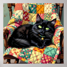 Schattigee zwarte kat op schommelstoel