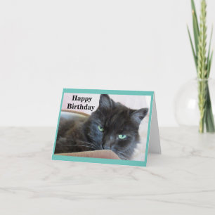 Schattigee zwarte kattenverjaardag kaart