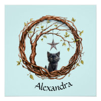 Schattigee zwarte kitten die naar een ster kijkt