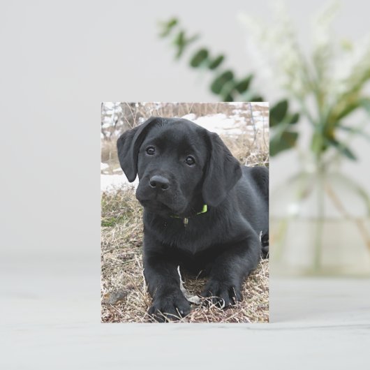 Schattigee zwarte Labrador Puppy - Happy Dog Black Briefkaart (Staand voorkant)