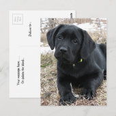 Schattigee zwarte Labrador Puppy - Happy Dog Black Briefkaart (Voorkant / Achterkant)