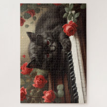 Schattigee zwarte poes liggend op piano