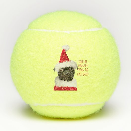 Schattigee zwarte puppy in kerstkerstmuts tennisballen (Voorkant)