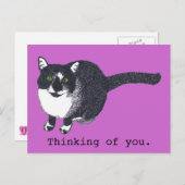 Schattigee zwarte witte kat in pointillisme Briefk Briefkaart (Voorkant / Achterkant)