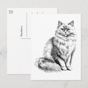 Schattigeste Hallo Cat Lover Illustratie Briefkaart