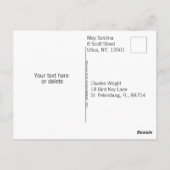 Schattigeste Hallo Gestreepte Veelkleurige Regenbo Briefkaart (Achterkant)