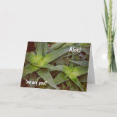 Schattigeste Hallo Kaart Pun Cactus Aloe (Voorkant)