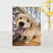 Schattigeste Hallo lachende Golden Retriever Puppy Kaart (Gele Bloem)