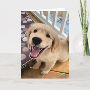 Schattigeste Hallo lachende Golden Retriever Puppy Kaart