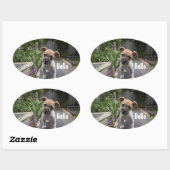 Schattigeste Hallo puppy ovale Stickers (Vel)