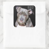 Schattigeste HALLO Sticker Pit Bull Dog (Tas)