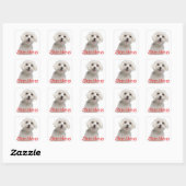 Schattigeste Hallo witte maltese puppy hond Vierkante Sticker (Vel)
