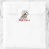 Schattigeste Hallo witte maltese puppy hond Vierkante Sticker (Tas)