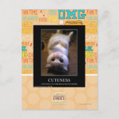 Schattigheid 2 briefkaart (Voorkant)