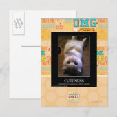 Schattigheid 2 briefkaart (Voorkant / Achterkant)