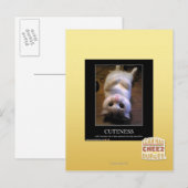 Schattigheid 2 briefkaart (Voorkant / Achterkant)