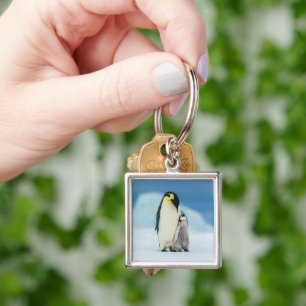 Schattigste baby dieren   Keizerspinguïn kuiken Sleutelhanger