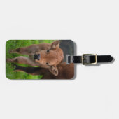 Schattigste babyschattige dieren | Koe en kalf Bagagelabel (Voorkant horizontaal)