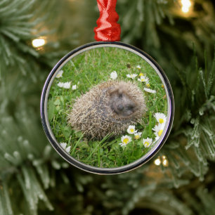 Schattigste babyschattige dieren Spaanse egel Metalen Ornament