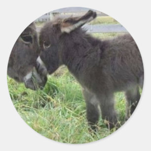 schattigste buro ronde sticker
