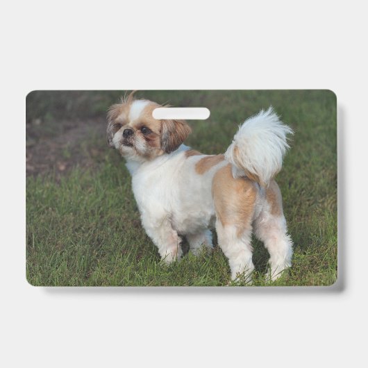 Schattigste Shih Tzu Badge (Voorzijde)